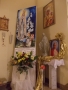 DSCN5382