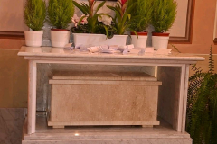 image000000-16