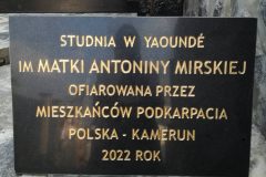 3.