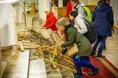 FB_IMG_1774774563612